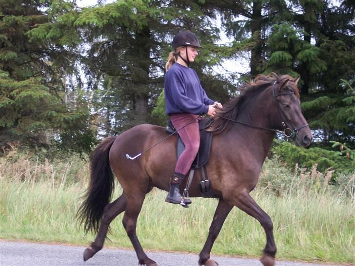 Islænder Fakur - Fakur´s første rytter billede 19