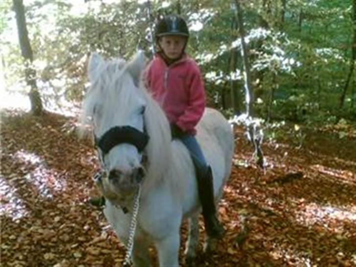 Anden særlig race Emil - R.I.P marts 2011 - på skovtur mee Emil 18.10.07 billede 8