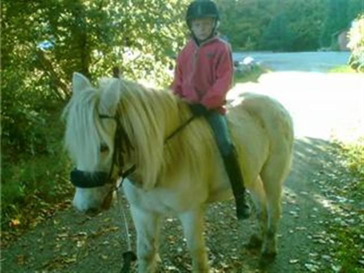 Anden særlig race Emil - R.I.P marts 2011 - skovtur 18.10.07 billede 9