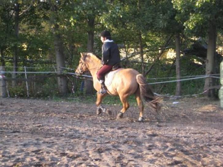 Anden særlig race Tarzan  - Proppen x) hahah men min ynglings-prop <3  billede 12