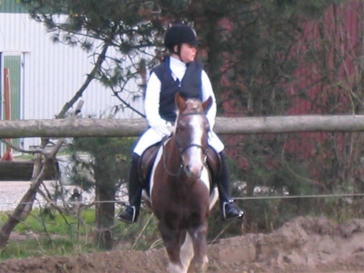 Pinto Mr Jamie (rider ik mere) - opvarmnign til stævnet jamie du var såå sød <3  billede 8