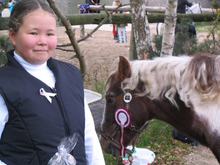 Pinto Mr Jamie (rider ik mere) - heh jamie du er såå fin med bøsse krøller og rosette :D <3 savner den dag  billede 9