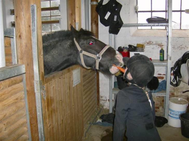 DSP sherrydan solgt :( - i miss you!<´3 :´( billede 5