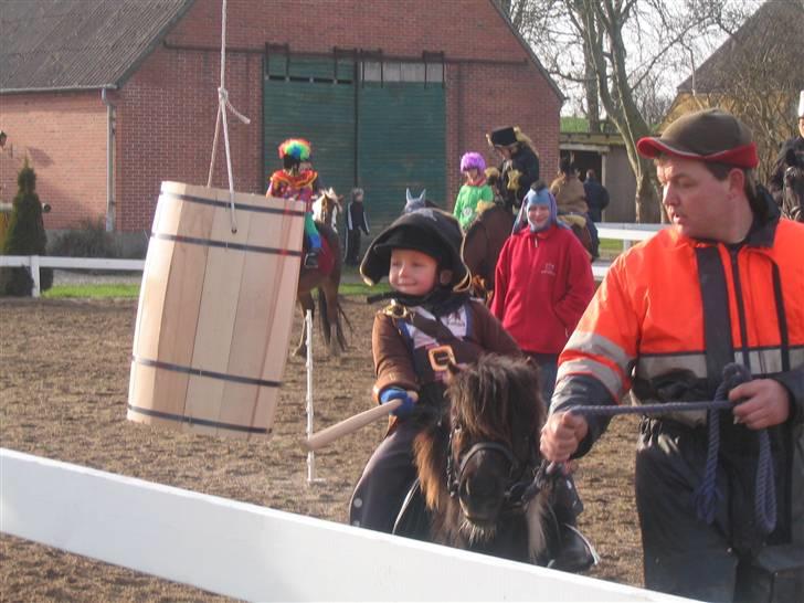 Shetlænder Ferrari  - Skønne basse.. Foto : mor billede 10