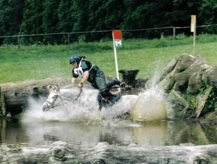 Anden særlig race Nickolej billede 19