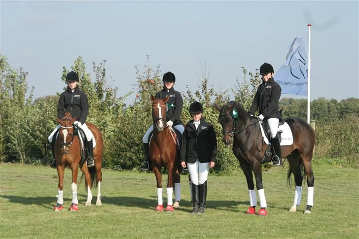 Tysk Sportspony Falkenhof's Milky Way - Vores hold (: Josefine og Lady, Sofie og Nathan, Jessica og S... billede 10