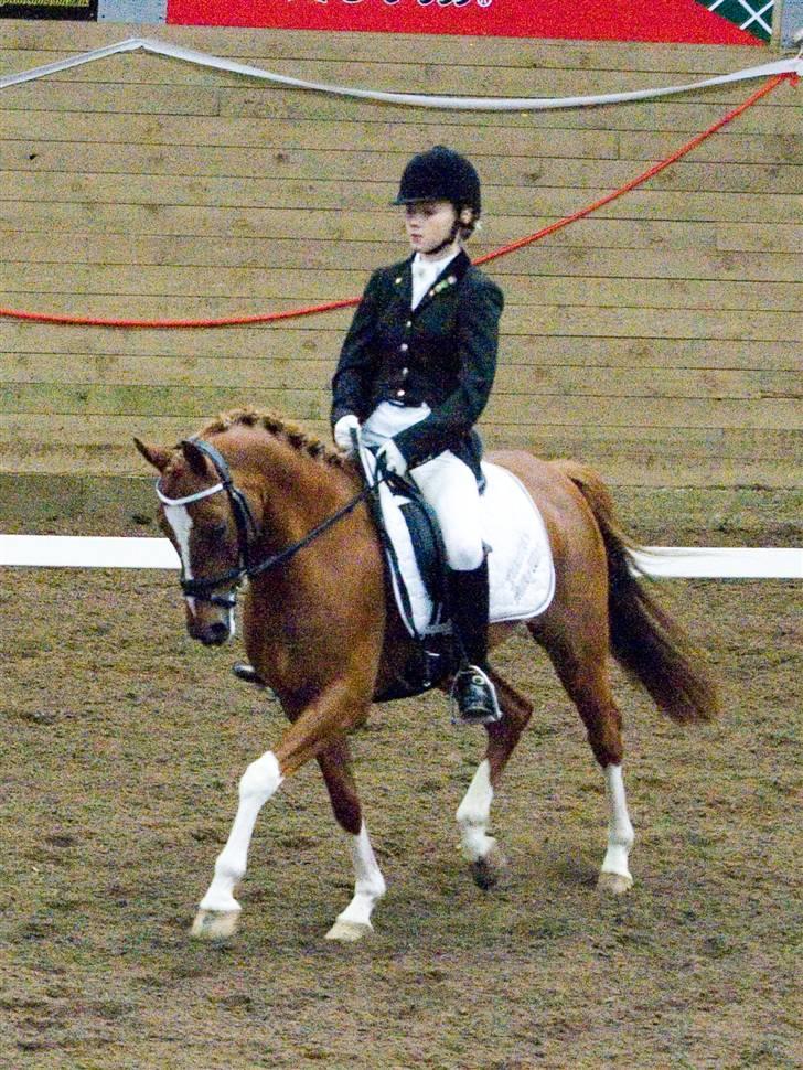 Tysk Sportspony Falkenhof's Milky Way - Landsstævne i Fredericia billede 14