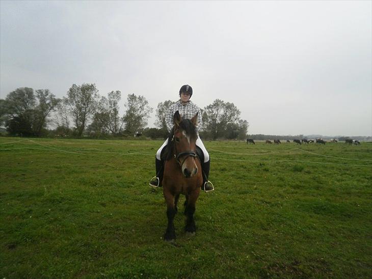 {{currentPhoto.altText}} billede {{currentPhoto.number}}