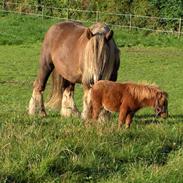 Jyde Bastian R.I.P <3 