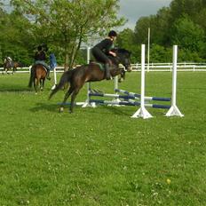 Anden særlig race Åge