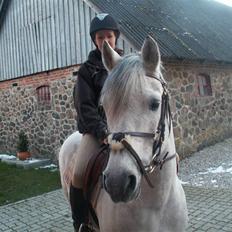 Connemara Cantali (SOLGT)