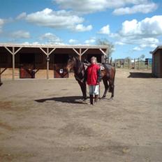 Anden særlig race Poco-Point