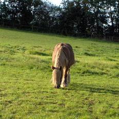 Jyde Bastian R.I.P <3 