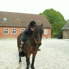 Anden særlig race Lukas R.I.P :'/