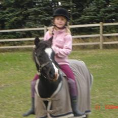 Anden særlig race Flicka GAMMELPART.