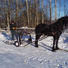 Frieser Sulveren - SOLGT
