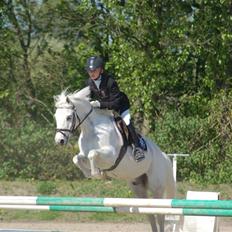 Anden særlig race Pascal