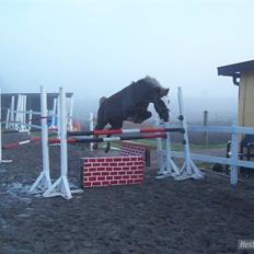 Anden særlig race Turn Around