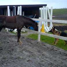 Anden særlig race Turn Around