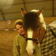 Pinto biggare`(går på græs)