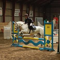 Anden særlig race Pascal