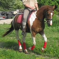 Pinto Karell Nyberg<3