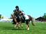 Dartmoor Trine