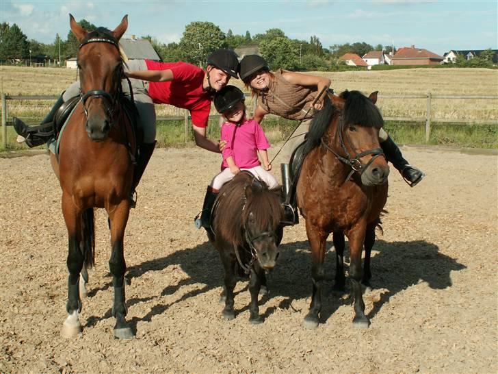 Anden særlig race Tayson<3 - Min søster på Bianca som også er herinde (Brugernavn Stephanie p) Mig og Tayson, og Emilie på 3 på lille Sorteper.. billede 12