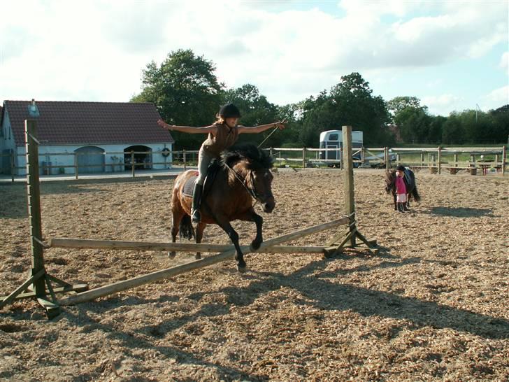Anden særlig race Tayson<3 - Vi øver os på vores opvisnings-program, Tandslet Rinridning anno 2007, lille kryds uden hænder.. :) billede 13