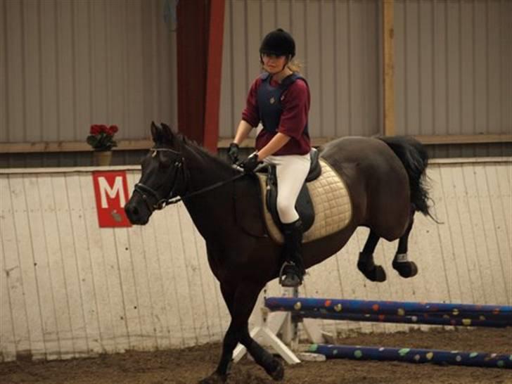 Anden særlig race Trinity C  - 24-05-09 stævne billede 6