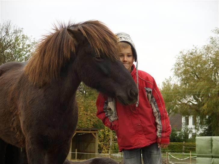 Islænder fakur fra udklit - min lille bror sammen med fakur billede 16