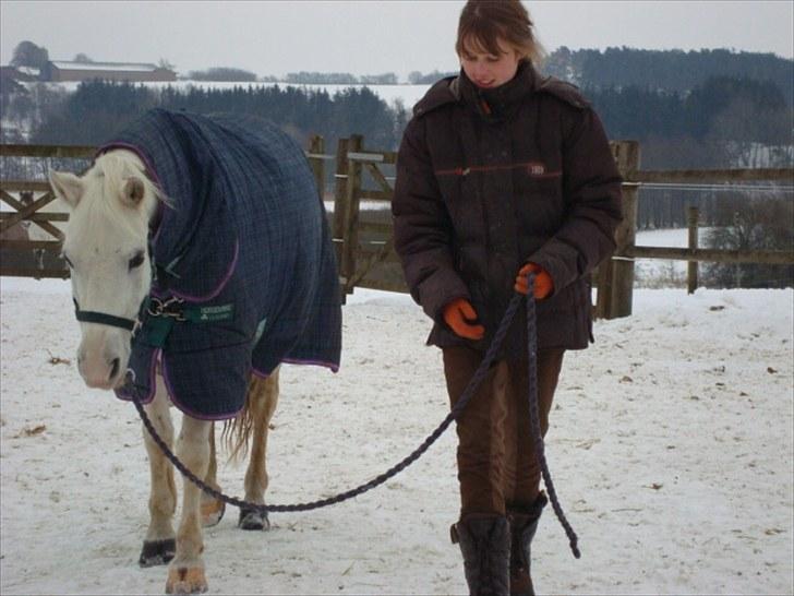 Welsh Pony (sec B) Kruchovs Dondey - A very special person once told me: "Don´t let anyone ever steal your joy. Be happy and live life like each day is your last.". billede 8