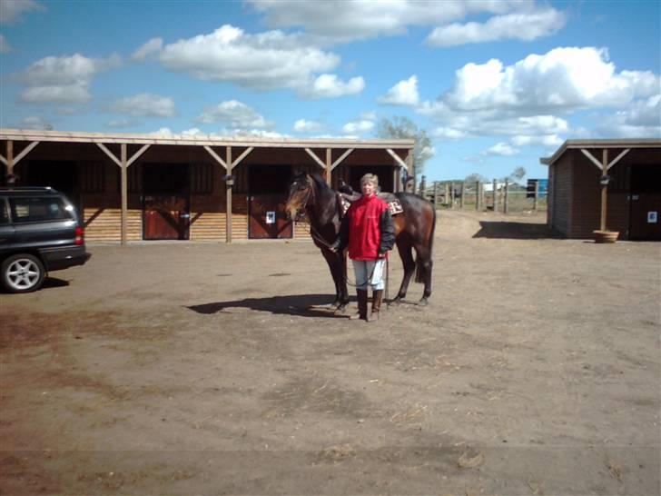 Anden særlig race Poco-Point - grundtræning sammen med min ejer billede 3