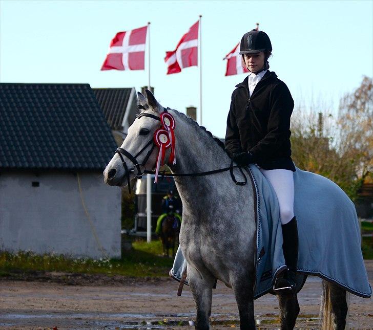 DSP Ida Søblink - Velkommen til Ida´s profil :D - Vemmelev 6/11-2010 billede 1