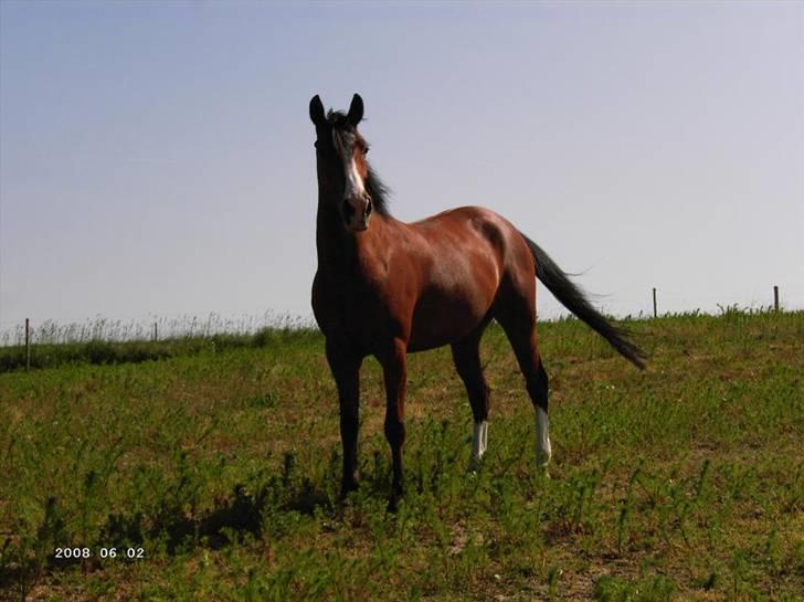 Sportsaraber (A) Boheme "solgt" - du står bare så pænt.. <33 elsker dig skatter.. <33 billede 4