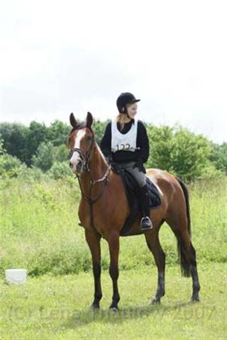 Sportsaraber (A) Boheme "solgt" - mig og Boheme til distance stævne.. <33 vores andet stævne sammen.. Hedeland´s Ridtet.. billede 7