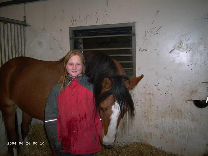 Sportsaraber (A) Boheme "solgt" - Boheme leder efter guf.. <33 billede 8