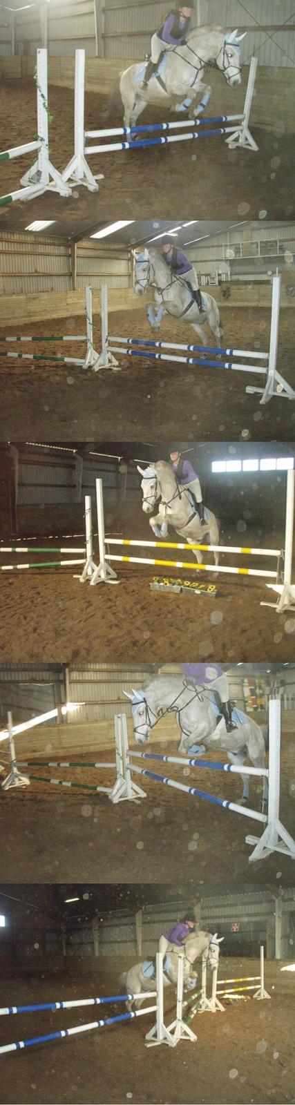 Anden særlig race Winner [Tidligere part] - Springbilleder fra den dag hvor jeg slog hovedet ned i halsen på ham :) Springene er fra 50 cm og til omkring 110 cm, men er ikke sikker. Resten kan ses i album. Taget af Katrine - dato i bunden. billede 10