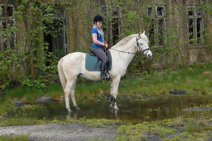 Anden særlig race Winner [Tidligere part] - Som fotomodeller - Taget af Nanna den 30. april 2008. billede 11