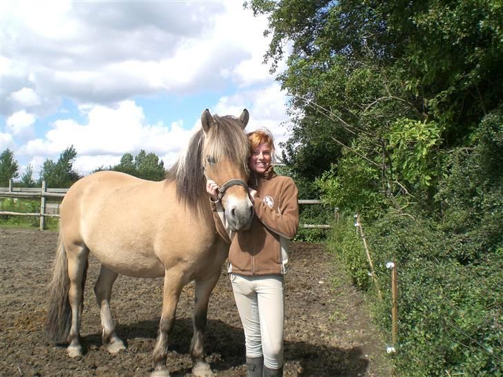 Anden særlig race Jolly Jumper - mig og jolly på folden (: billede 2