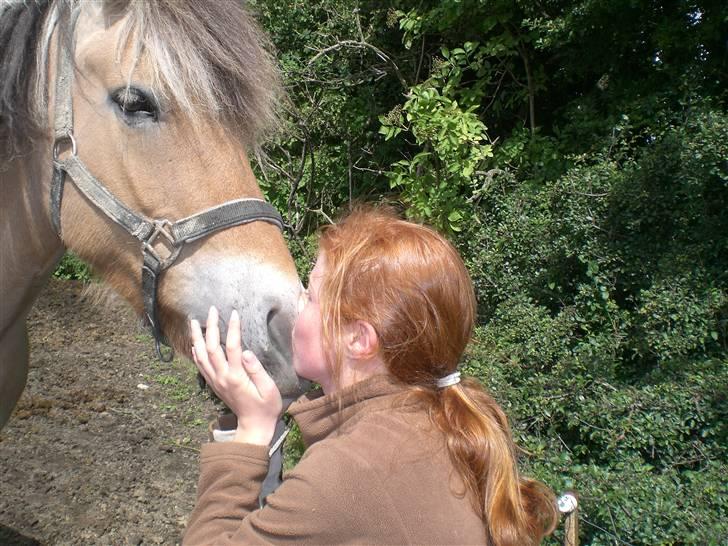 Anden særlig race Jolly Jumper - møzz!<3 billede 3