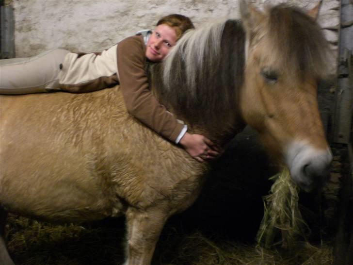 Anden særlig race Jolly Jumper - mig og jolly i boksen<3 hun er så sød! billede 5