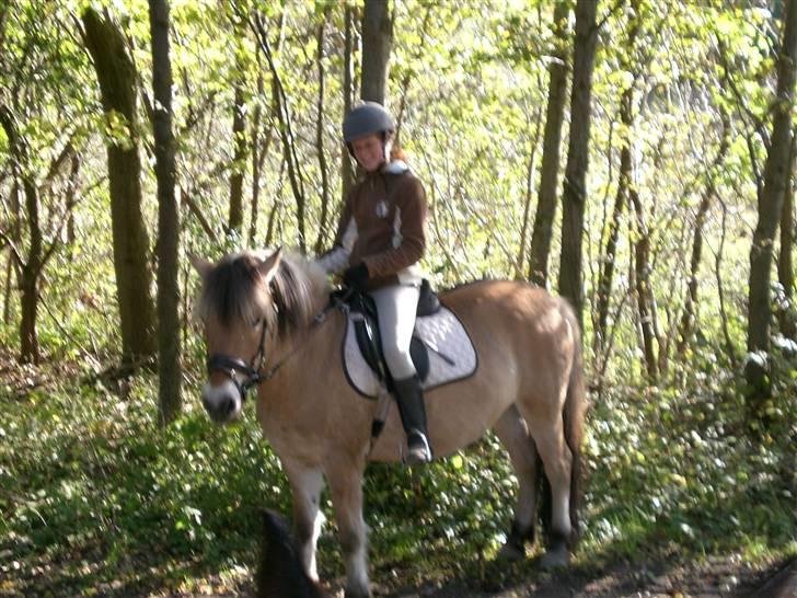 Anden særlig race Jolly Jumper - os i skoven (: billede 7