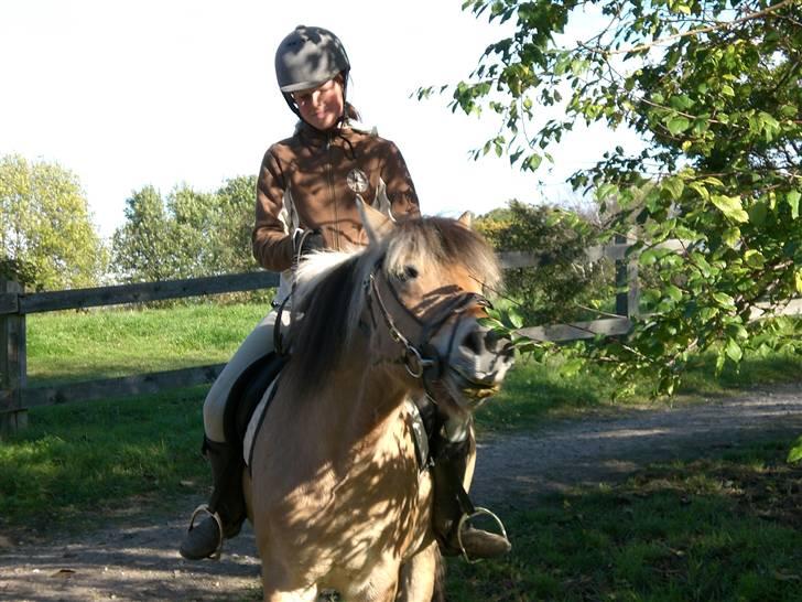 Anden særlig race Jolly Jumper - og så lige en lækkerbisken ;p billede 8