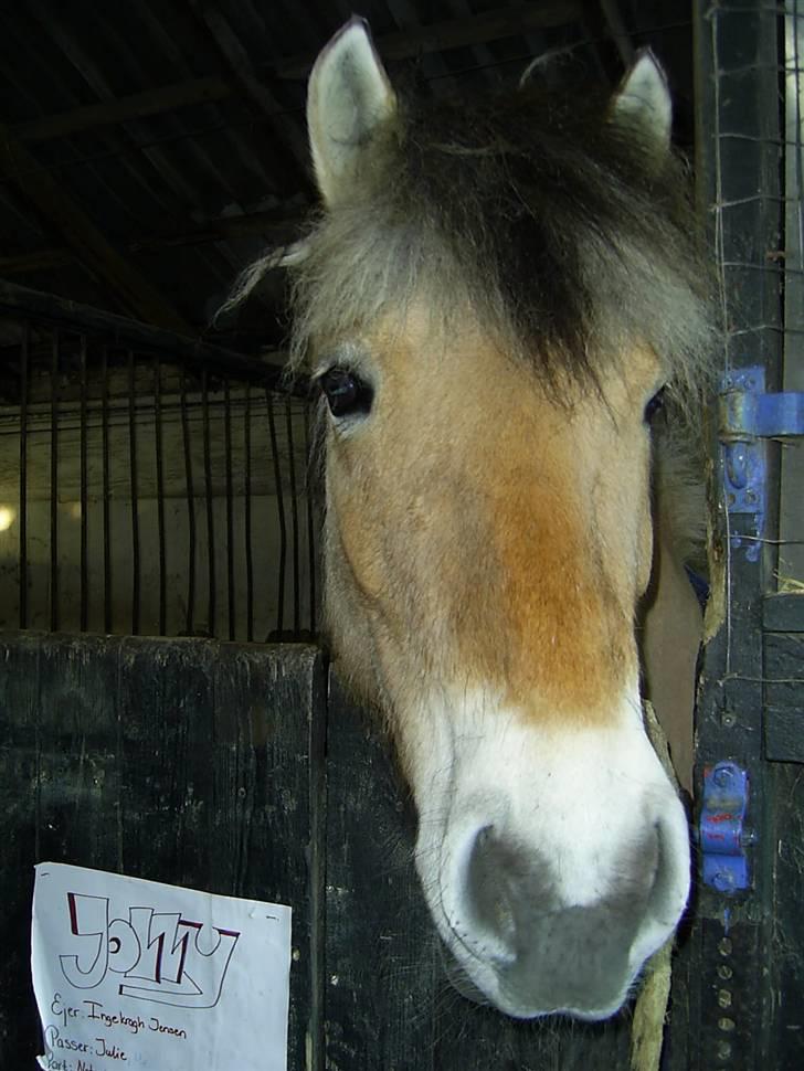 Anden særlig race Jolly Jumper - jolly i marts 2005 (: billede 9