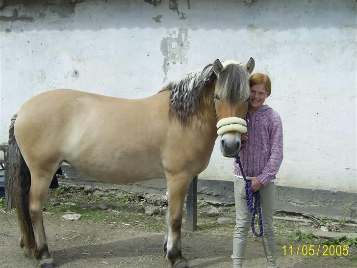 Anden særlig race Jolly Jumper - mig og jolly til harlev rideskole sommerstæve 05 billede 10