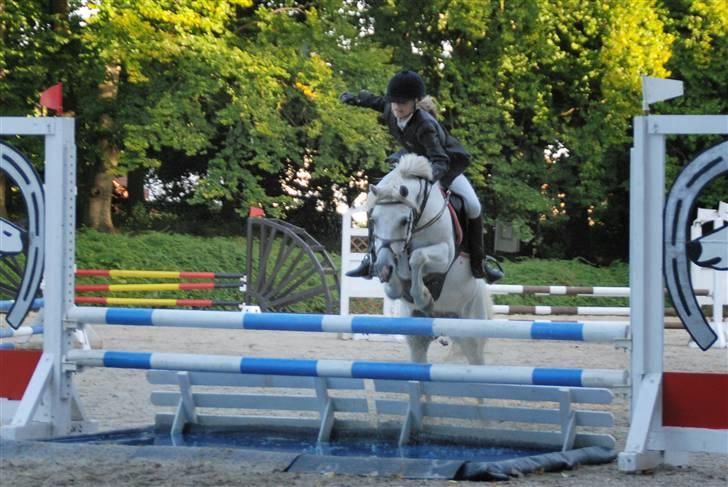 Welsh Partbred (Sec F) Emdegårdens Herculessolgt - distriktmesterskab hold 2007 red nul sammen med min søs det var bare de andre der fik 4 fejl billede 3