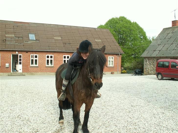 Anden særlig race Lukas R.I.P :'/ - <33 billede 3