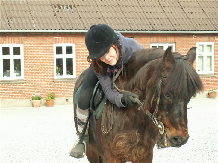 Anden særlig race Lukas R.I.P :'/ - din skønne pony . billede 4