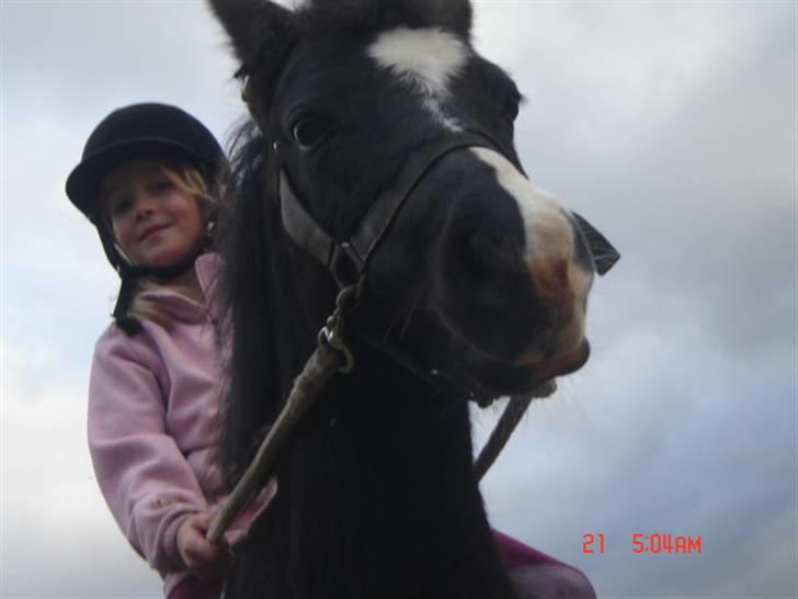 Anden særlig race Flicka GAMMELPART. - jeg savner dig. billede 2